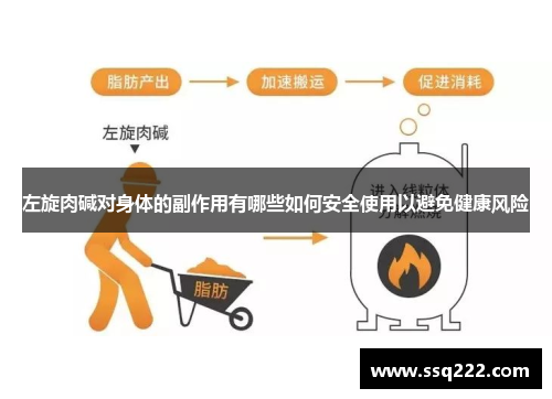 左旋肉碱对身体的副作用有哪些如何安全使用以避免健康风险