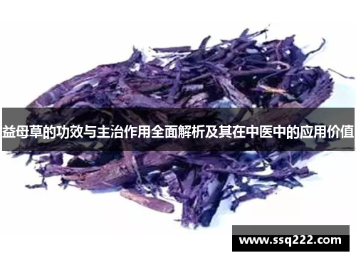 益母草的功效与主治作用全面解析及其在中医中的应用价值